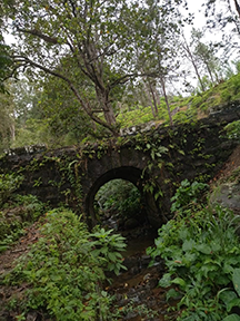 Daniyaya Road 4