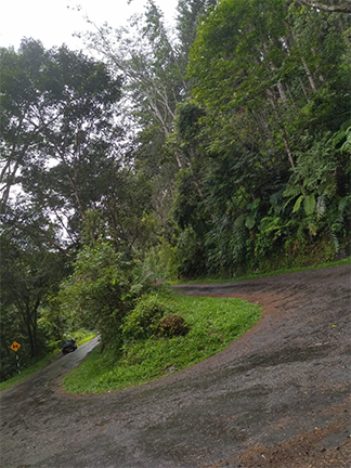 Daniyya Road 2