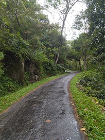 Daniyya Road 3