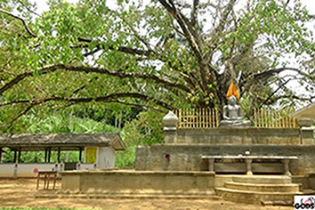 Madagama TEmple 21