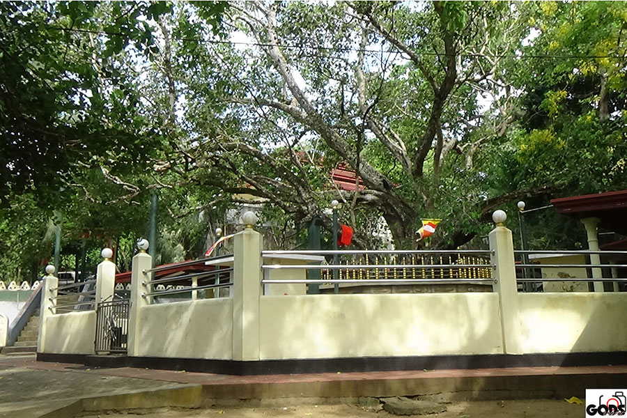 Malwarusawa 1