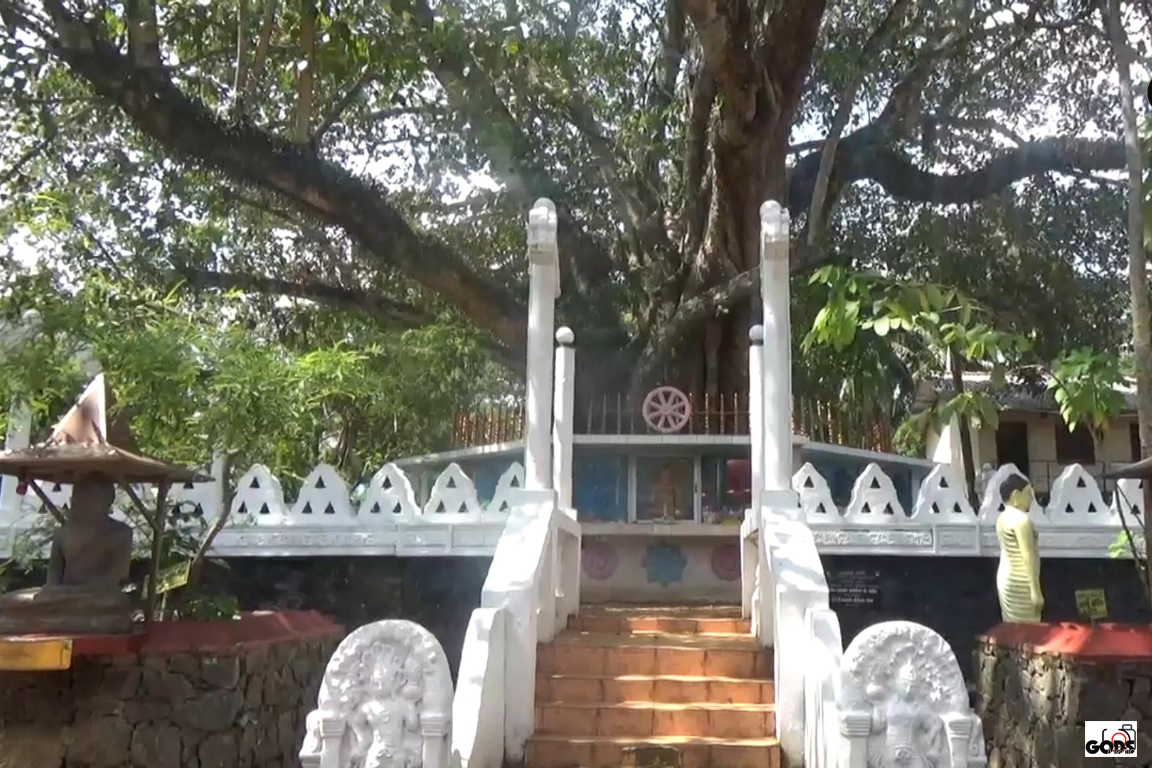 Tampita 2