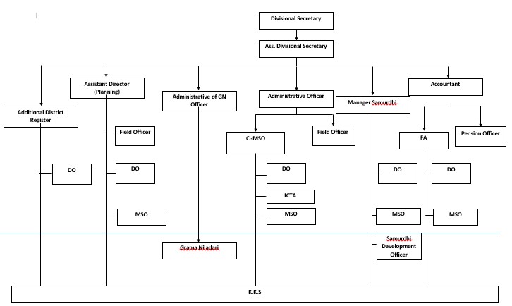 Organization Chart S